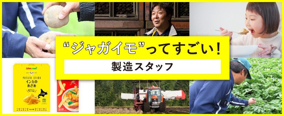 カルビーポテト株式会社 製造スタッフの求人情報 札幌 北海道の求人 転職ならジョブアンテナ北海道